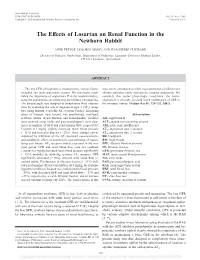 The Effects of Losartan on Renal Function in the Newborn Rabbit