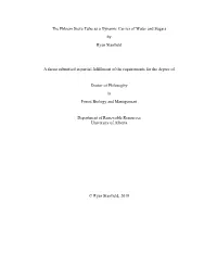 The Phloem Sieve Tube As a Dynamic Carrier of Water and Sugars by Ryan Stanfield a Thesis Submitted in Partial Fulfillment of Th