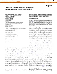 A Novel Vertebrate Eye Using Both Refractive and Reflective