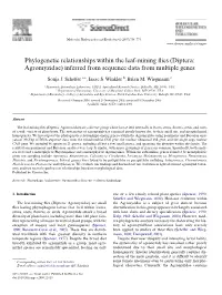 Diptera: Agromyzidae) Inferred from Sequence Data from Multiple Genes