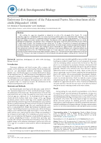 Embryonic Development of the Palaemonid Prawn Macrobrachium Idella Idella (Hilgendorf, 1898) G