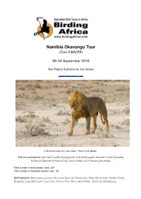 Namibia & Okavango Panhandle (Botswana