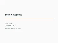Skein Categories
