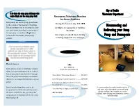 Disconnecting and Redirecting Your Sump Pump and Downspouts