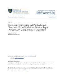 Subcloning, Expression and Purification of Functional E. Coli Nucleotide Excision Repair Protein Uvra Using IMPACT-CN System Cathy W