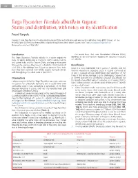 Taiga Flycatcher Ficedula Albicilla in Gujarat: Status and Distribution, with Notes on Its Identification Prasad Ganpule