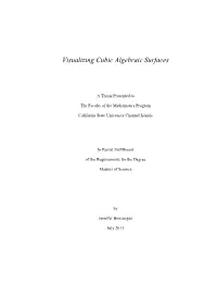 Visualizing Cubic Algebraic Surfaces