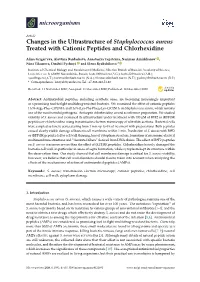 Changes in the Ultrastructure of Staphylococcus Aureus Treated with Cationic Peptides and Chlorhexidine