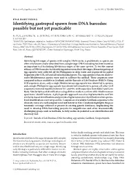 Identifying Gastropod Spawn from DNA Barcodes: Possible but Not Yet Practicable