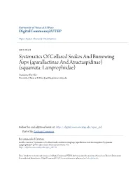 Systematics of Collared Snakes and Burrowing Asps (Aparallactinae