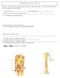 Skeletal System Day 1 Review