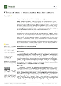 A Review of Effects of Environment on Brain Size in Insects