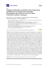 Changes in Phenolics and Fatty Acids Composition and Related Gene Expression During the Development from Seed to Leaves of Three Cultivated Cardoon Genotypes