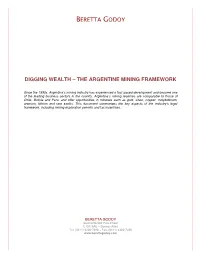 Digging Wealth – the Argentine Mining Framework