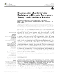 Dissemination of Antimicrobial Resistance in Microbial Ecosystems Through Horizontal Gene Transfer