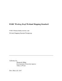 Draft Wetland Mapping Standard