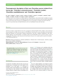 Clostridium Amazonitimonense, Clostridium Me