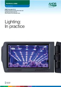 Lighting: in Practice