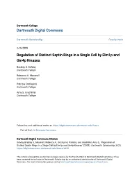 Regulation of Distinct Septin Rings in a Single Cell by Elm1p and Gin4p Kinases