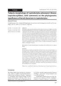Tadpole Morphology of Leptodactylus Plaumanni (Anura: Leptodactylidae), with Comments on the Phylogenetic Significance of Larval Characters Inleptodactylus