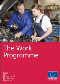 The Work Programme