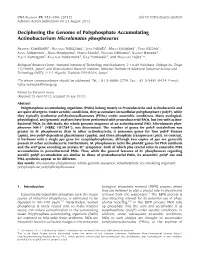 Deciphering the Genome of Polyphosphate Accumulating Actinobacterium Microlunatus Phosphovorus