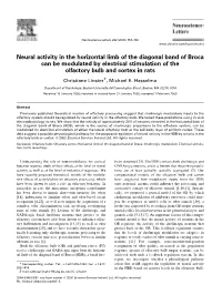 Neural Activity in the Horizontal Limb of the Diagonal Band of Broca Can Be Modulated by Electrical Stimulation of the Olfactory Bulb and Cortex in Rats
