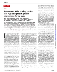 A Conserved NAD+ Binding Pocket That Regulates Protein-Protein Interactions During Aging Jun Li, Michael S