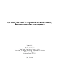 Life History and Status of Alligator Gar Atractosteus Spatula, with Recommendations for Management