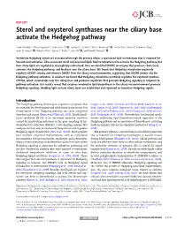 Sterol and Oxysterol Synthases Near the Ciliary Base Activate the Hedgehog Pathway