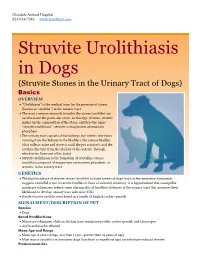 Struvite Urolithiasis in Dogs