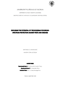 Universitat Politècnica De València Exploring the Potential of Trichoderma for Broad- Spectrum Protection Against Pests and Di