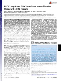 BRCA2 Regulates DMC1-Mediated Recombination Through the BRC Repeats