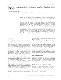 Report of a Pest Risk Analysis for Platypus Parallelus (Fabricus, 1801) for Turkey