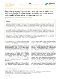 Rugosibacter Aromaticivorans Gen. Nov., Sp. Nov., a Bacterium Within