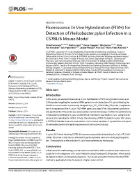 Fluorescence in Vivo Hybridization (FIVH) for Detection of Helicobacter Pylori Infection in a C57BL/6 Mouse Model