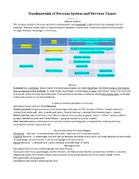 Fundamentals of Nervous System and Nervous Tissue