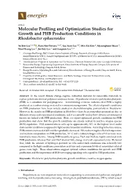 Molecular Profiling and Optimization Studies for Growth and PHB