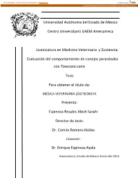 Toxocara Canis
