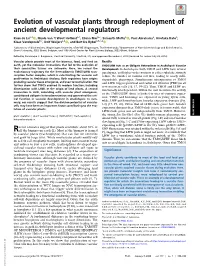 Evolution of Vascular Plants Through Redeployment of Ancient Developmental Regulators