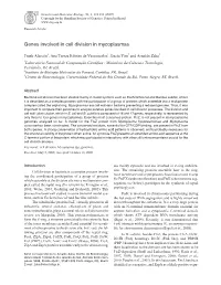Genes Involved in Cell Division in Mycoplasmas