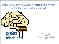 How Visual Cortex Works and Machine Vision Tools for the Visually Impaired