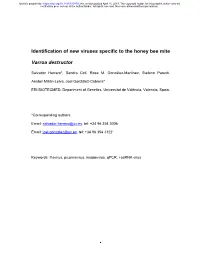 Identification of New Viruses Specific to the Honey Bee Mite Varroa Destructor