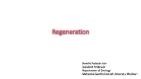 Lecture on Regeneration