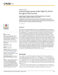 Painted Goby Larvae Under High-CO2 Fail to Recognize Reef Sounds
