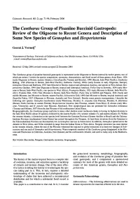 Gastropods: of the Oligocene to Recent Genera and Description Of