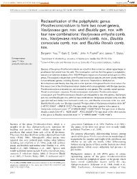 Reclassification of the Polyphyletic Genus Prosthecomicrobium to Form Two Novel Genera, Vasilyevaea Gen