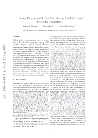 Exploring Programmable Self-Assembly in Non-DNA Based Molecular Computing