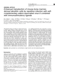 Enhanced Transduction of Mouse Bone Marrow
