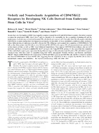 Orderly and Nonstochastic Acquisition of CD94/NKG2 Receptors by Developing NK Cells Derived from Embryonic Stem Cells in Vitro1